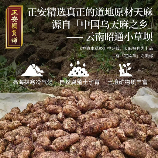 正安 云南昭通天麻 对补充脑子能量有益处 煲汤食材炖汤用料  精选优质原材 乌天麻中心切片 色泽自然胶质通透 130g/罐 商品图4