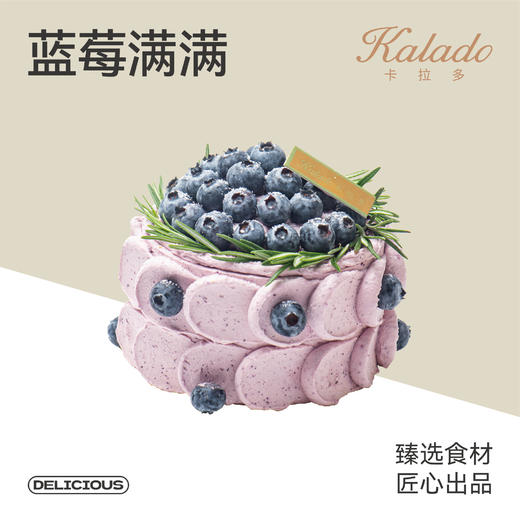 4# 蓝莓满满 商品图0