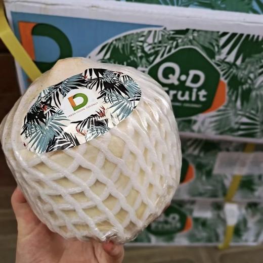 泰国佳垚青椰 椰子 商品图12