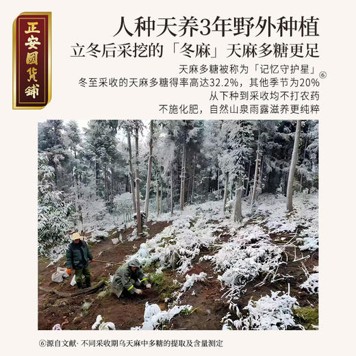 正安 云南昭通天麻 对补充脑子能量有益处 煲汤食材炖汤用料  精选优质原材 乌天麻中心切片 色泽自然胶质通透 130g/罐 商品图6