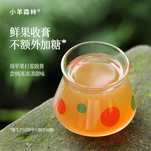 ☆【乌梅三豆膏】古方复配 酸甜可口 浇灭火苗 商品图4