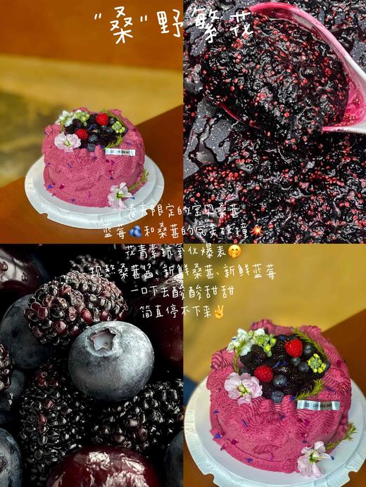 【春季限定】“桑”野繁花· 奶油蛋糕 商品图0