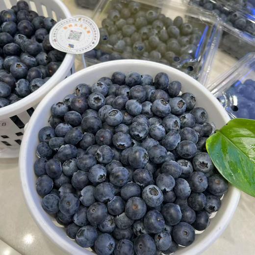 花香蓝莓 15+中果 商品图8