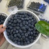 花香蓝莓 15+中果 商品缩略图10