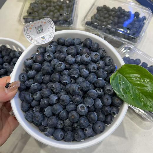 花香蓝莓 15+中果 商品图10