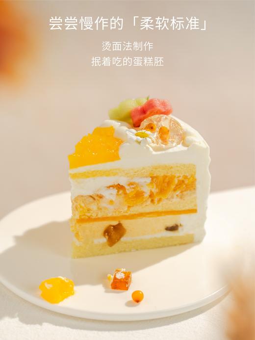【春日热销】超级维他命C 身体和心情都喜欢 商品图3