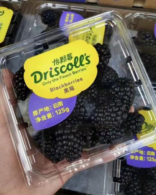 黑莓一盒 商品图0