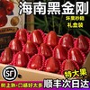 【海南热带水果】海南黑金刚莲雾 大果3-5斤 京东空运 商品缩略图1