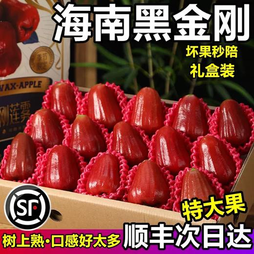 【海南热带水果】海南黑金刚莲雾 大果3-5斤 京东空运 商品图1
