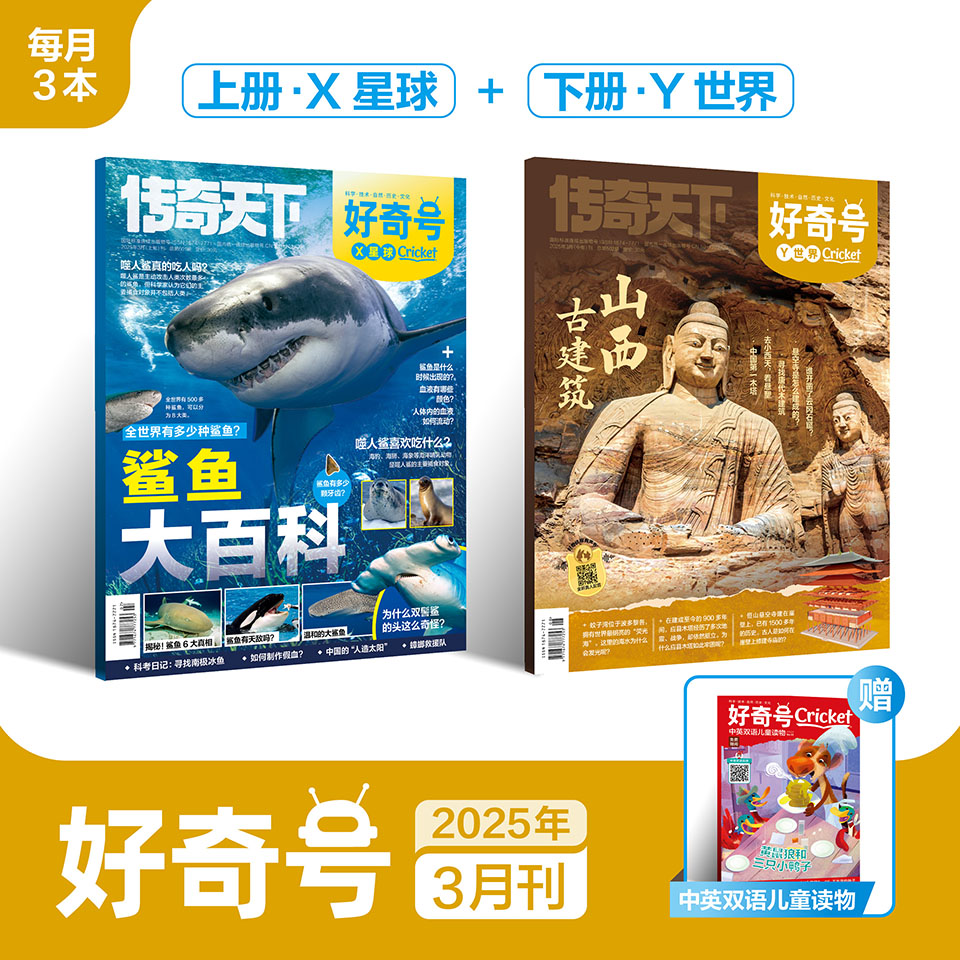 【7-12岁必备】传奇天下好奇号杂志 青少年科普，承包孩子一整年通识教育，每月三本（X星球+Y世界+双语小册子）【悦刊图书】