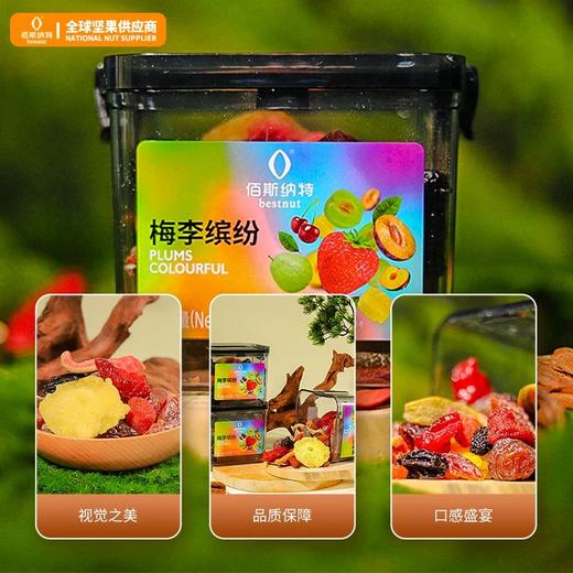 佰斯纳特梅李缤纷320g/152920 含9种蜜饯混合多口味 甘肃/青海/内蒙古/新疆/西藏/宁夏/海南/港澳台不发货 商品图3