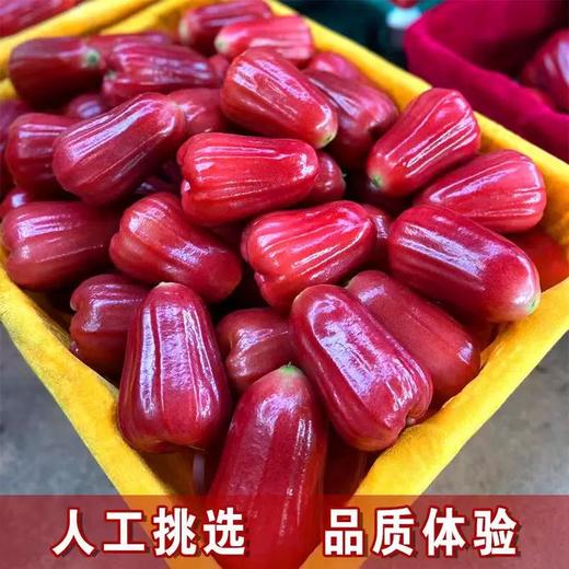 【海南热带水果】海南黑金刚莲雾 大果3-5斤 京东空运 商品图6