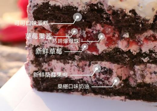「季节限定」桑葚口味蛋糕-甜蜜春语 商品图2