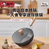 铁太郎日本进口一人食小铁锅家用迷你炒菜锅无涂层高端平底奶锅23CM 商品缩略图0