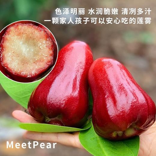 【海南热带水果】海南黑金刚莲雾 大果3-5斤 京东空运 商品图3