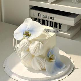 【仙气缭绕】蝴蝶兰女生蛋糕