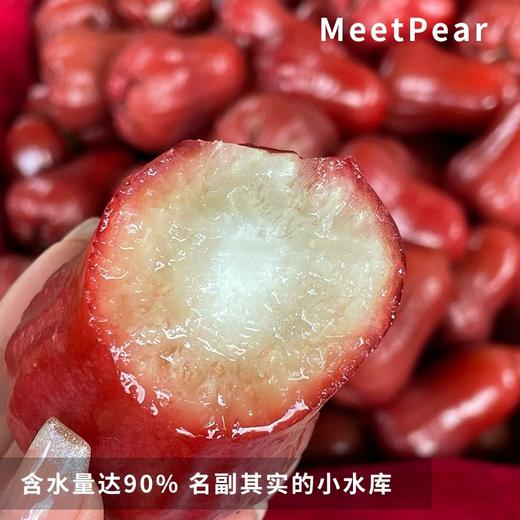 【海南热带水果】海南黑金刚莲雾 大果3-5斤 京东空运 商品图5