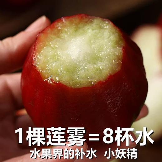 【海南热带水果】海南黑金刚莲雾 大果3-5斤 京东空运 商品图4