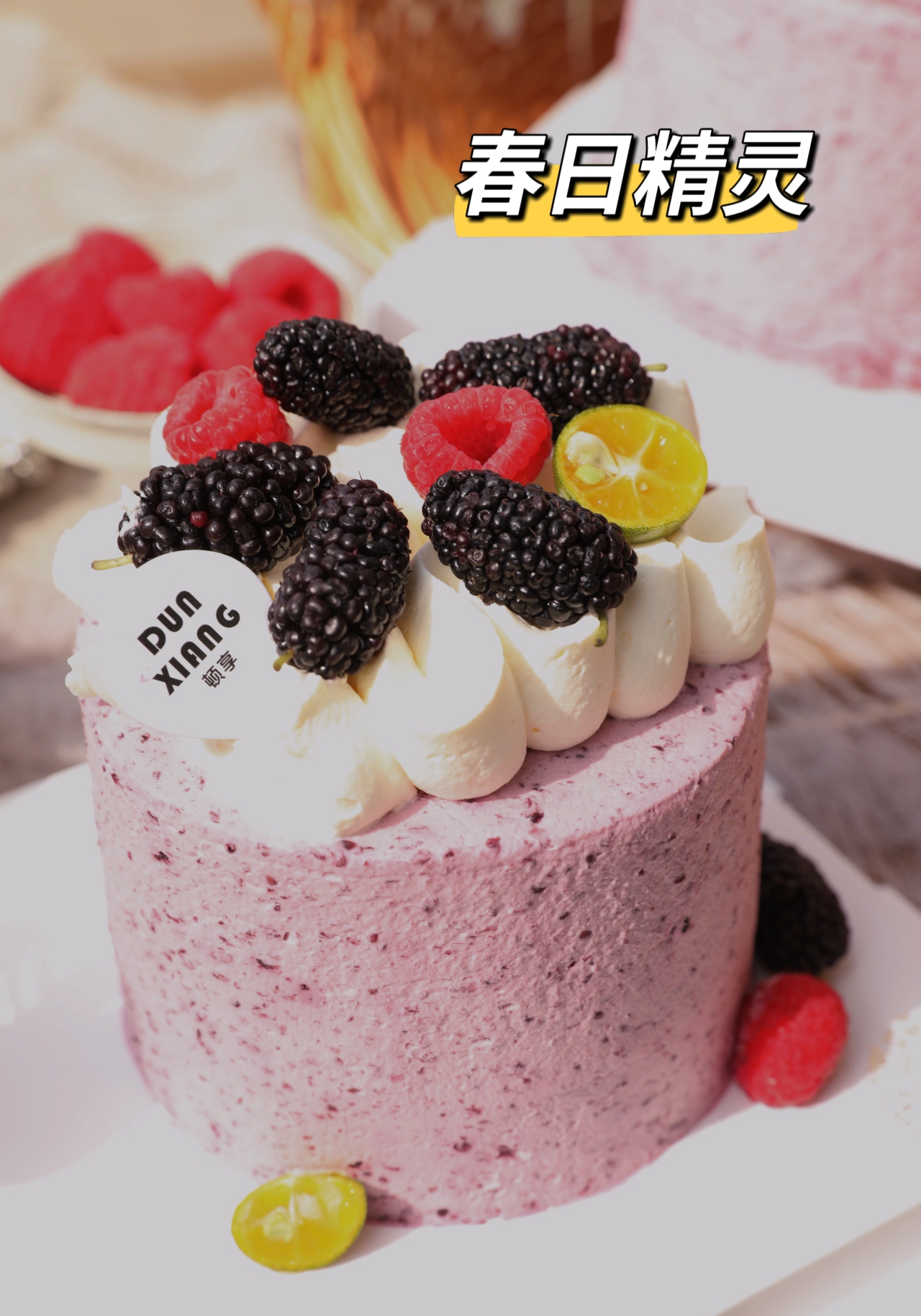 「口味经典」4英寸桑葚口味—春日精灵