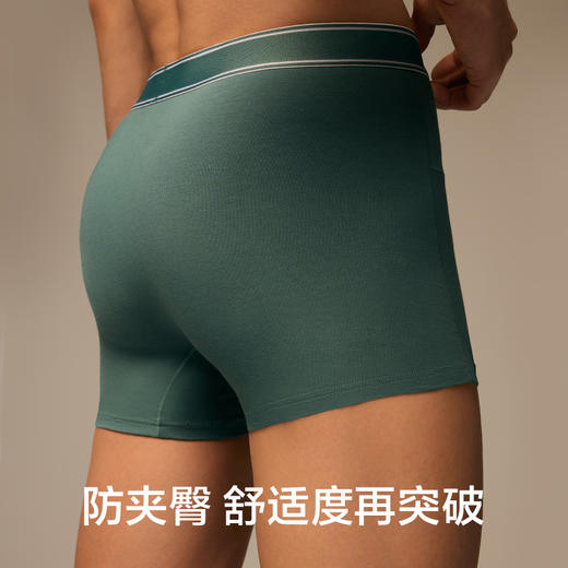 有棵树纯棉中腰男士内裤3条装-137B 商品图4