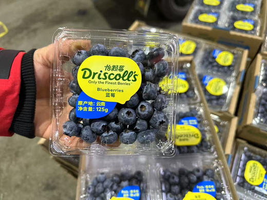 【纯甜】怡颗莓进口蓝莓,又脆又甜，蓝莓味也浓，爱眼护眼， 商品图8