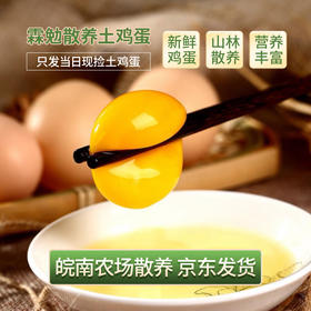 霖勉 新鲜农家散养土鸡蛋 30枚/50枚精选土鸡蛋 谷物喂养 新鲜现捡 整箱京东快递 48小时内发货