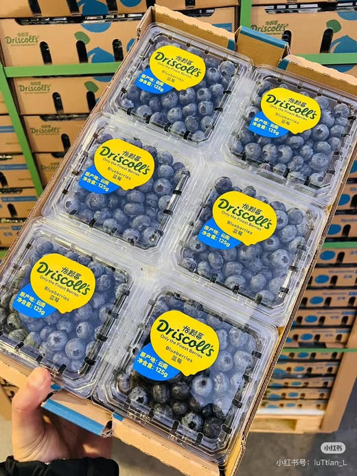 【纯甜】怡颗莓进口蓝莓,又脆又甜，蓝莓味也浓，爱眼护眼， 商品图9