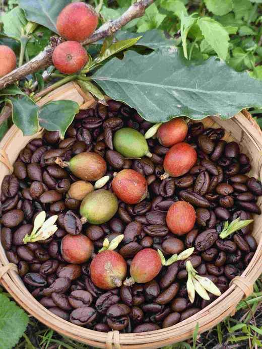 海南咖啡粉250克 商品图13