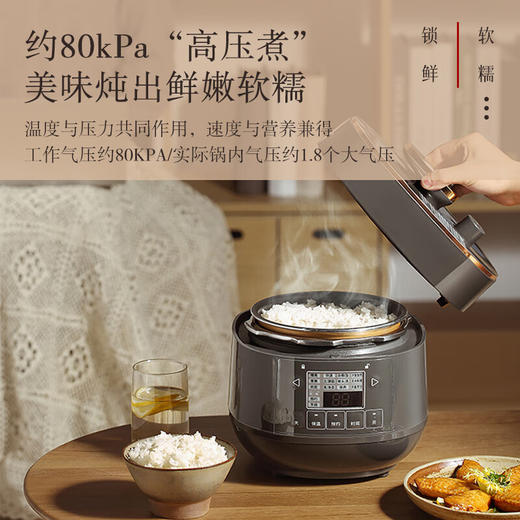 松下（Panasonic）2L迷你智能电压力锅 多功能可预约电压力锅开盖煮全自动排气 SR-PB201-B 灰色 商品图2