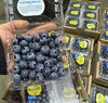 【纯甜】怡颗莓进口蓝莓,又脆又甜，蓝莓味也浓，爱眼护眼， 商品缩略图11