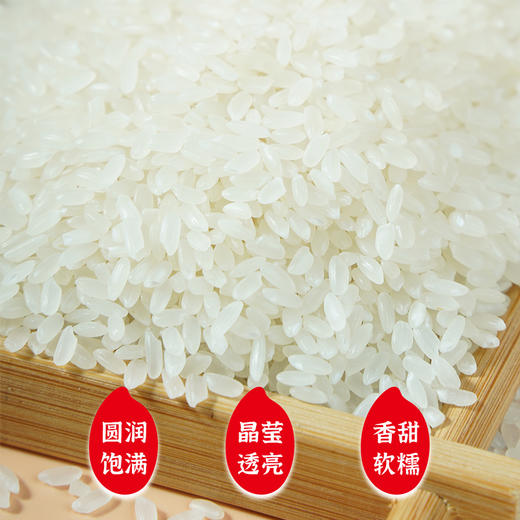 【陇间柒月】湖北恩施 八月富硒大米2.5/5kg 商品图9