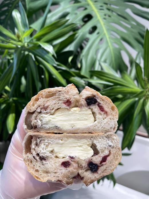 蓝莓乳酪（下午4点左右出货） 商品图0