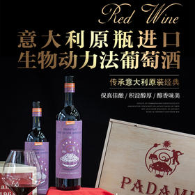 意大利原瓶进口帕达米紫云德米特葡萄酒