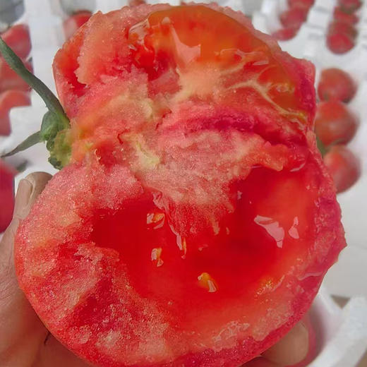 陕西普罗旺斯西红柿8斤 商品图3