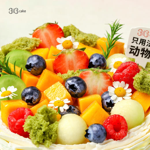 伯牙绝弦，可选1.5/2.5/3.5/6磅 商品图2