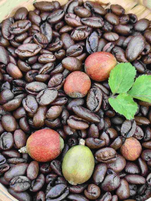 海南咖啡粉250克 商品图14