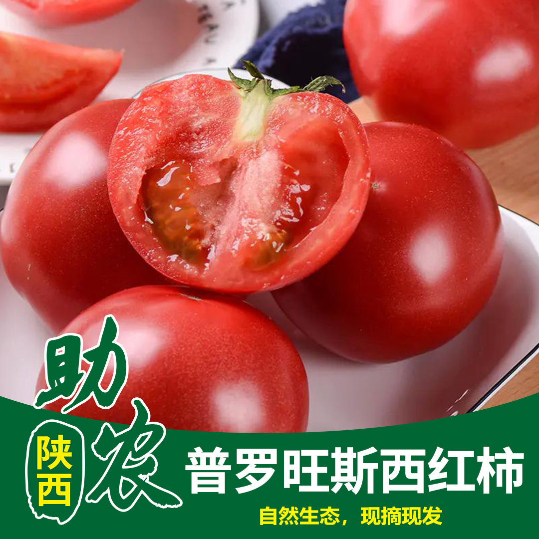 陕西普罗旺斯西红柿8斤
