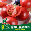 陕西普罗旺斯西红柿8斤 商品缩略图0