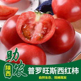 陕西普罗旺斯西红柿8斤