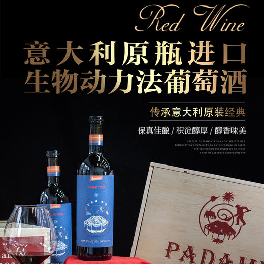 意大利原瓶进口帕达米蓝图德米特葡萄酒 商品图0