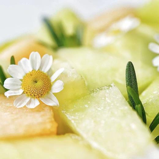 碧落盏|茉莉蜜瓜 商品图2