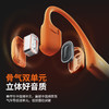 AfterShokz/韶音 S820 骨传导耳机 蓝牙运动耳机 商品缩略图2