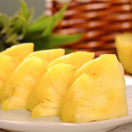 菠萝 商品图2