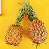 菠萝 商品缩略图1