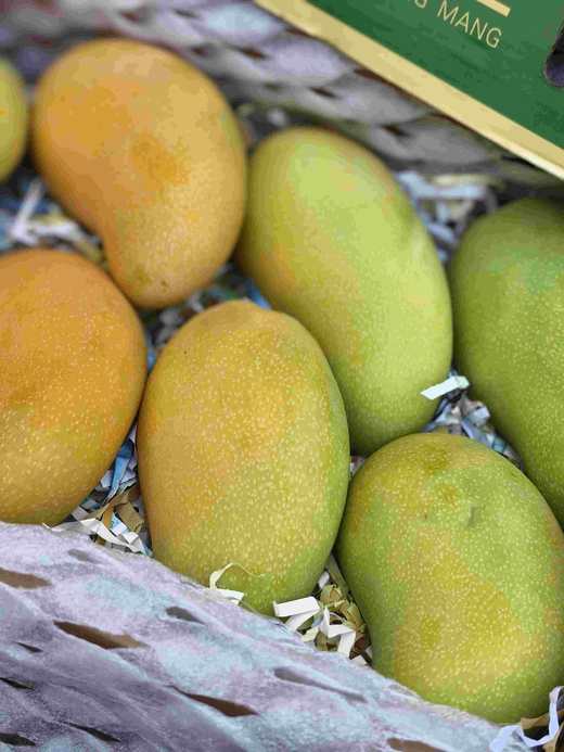 海南金煌芒高山老树老果8.5-9斤/礼盒适合送礼 商品图9