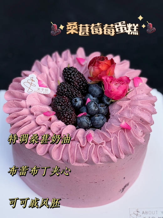 桑葚莓莓 （装饰桑葚换蓝莓） 商品图1