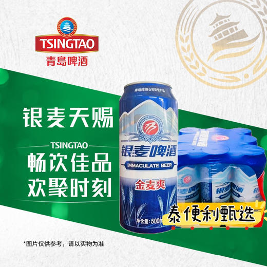 【1箱/包】青岛啤酒 银麦啤酒金麦爽8度麦汁度500ml*9罐(无奖)青岛不倒我不倒 商品图1