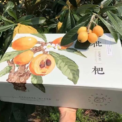 云南高原「完熟枇杷」大果 整件 约1.5kg 商品图1
