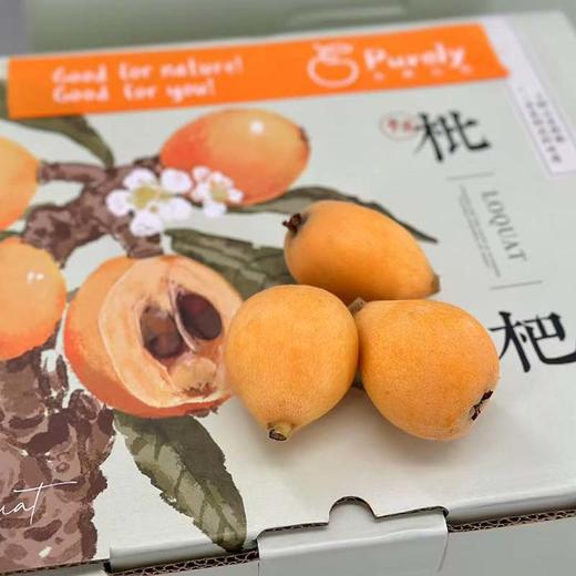 云南高原「完熟枇杷」大果 整件 约1.5kg 商品图2