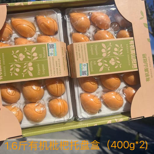 攀枝花有机枇杷400g/盒*2(单果25-40g) 商品图3